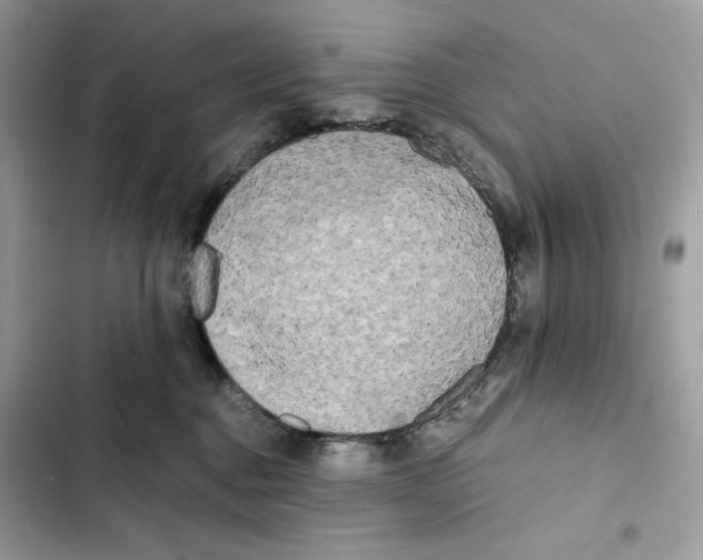 X0000101950376200808151258