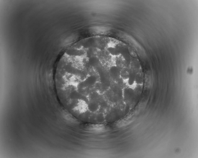 X0000101950377200808151258