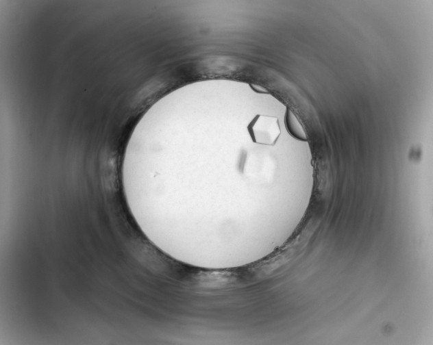 X0000101950378200808151258