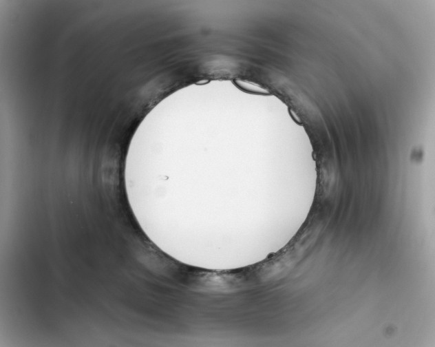X0000101950379200808151258