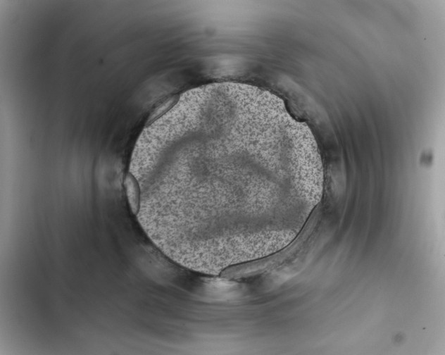 X0000101950380200808151258