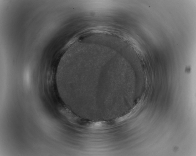 X0000101950382200808151258