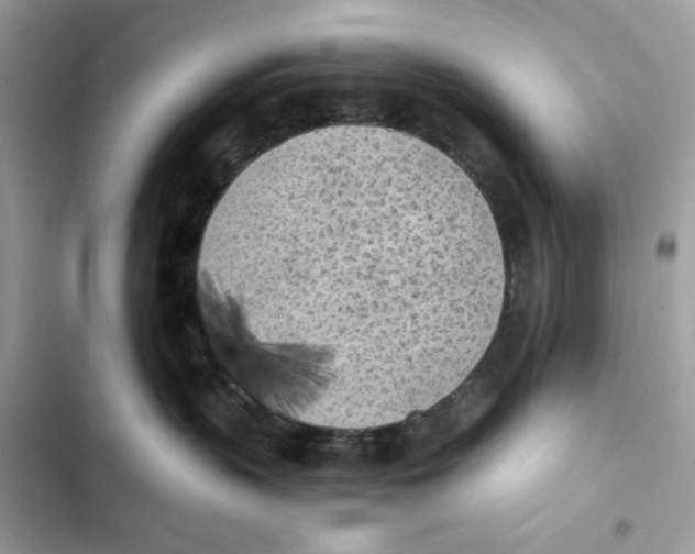 X0000101950383200808151258