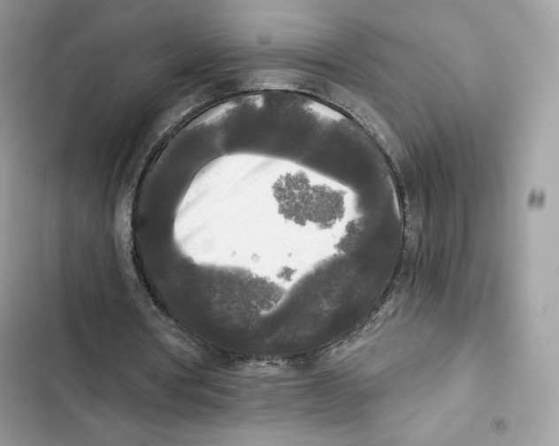 X0000101950386200808151258