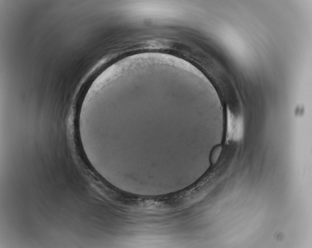 X0000101950387200808151257
