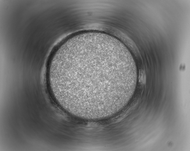X0000101950388200808151257