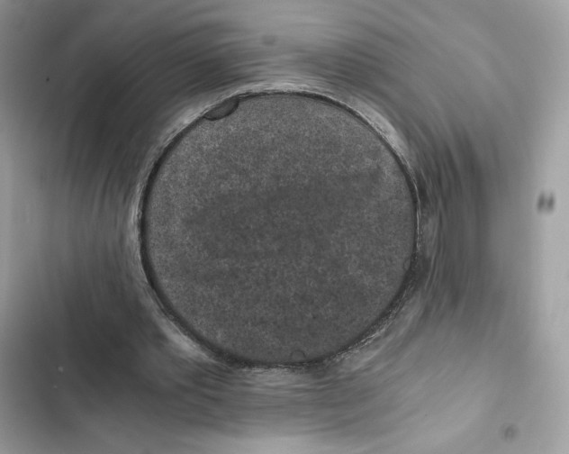 X0000101950389200808151257