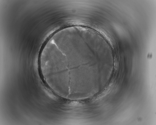 X0000101950390200808151257