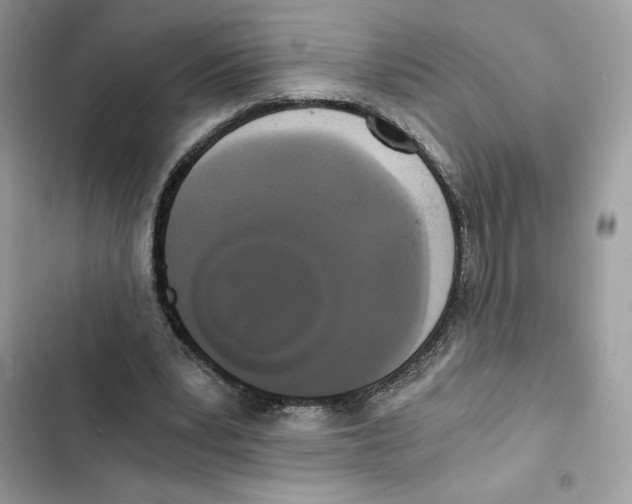 X0000101950391200808151257