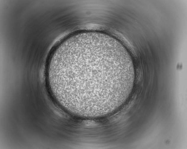 X0000101950392200808151257