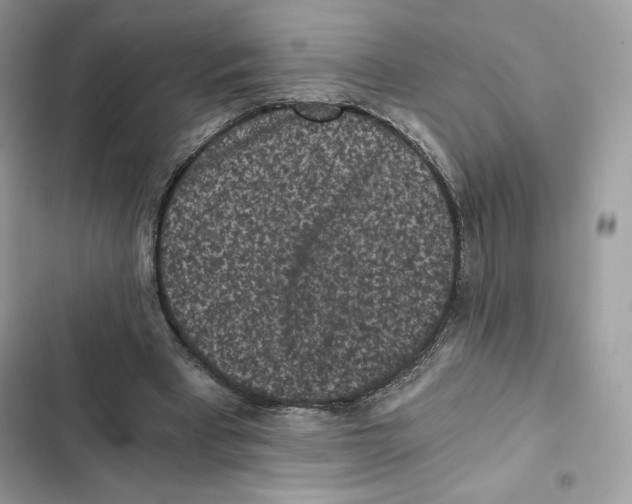 X0000101950393200808151257