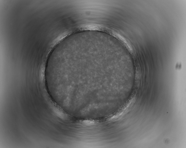 X0000101950394200808151257