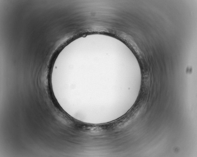 X0000101950395200808151257