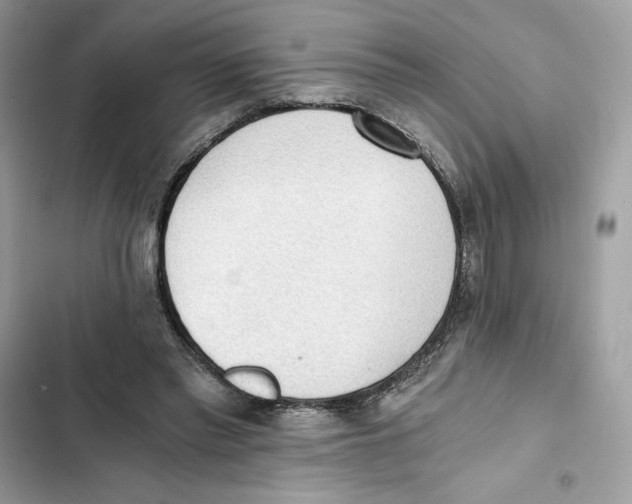 X0000101950397200808151257