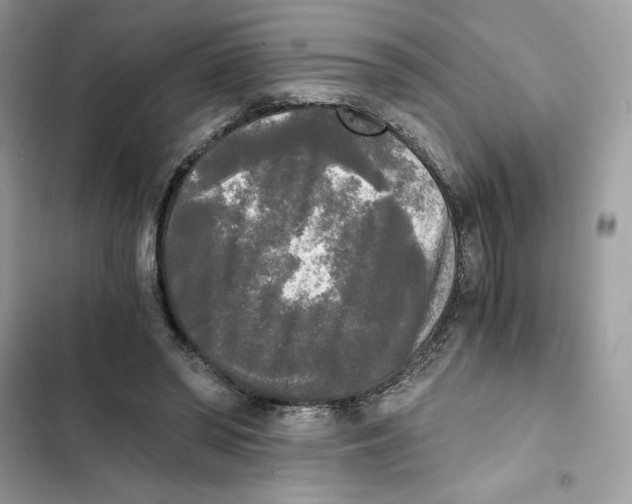 X0000101950398200808151257