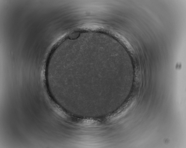 X0000101950399200808151257
