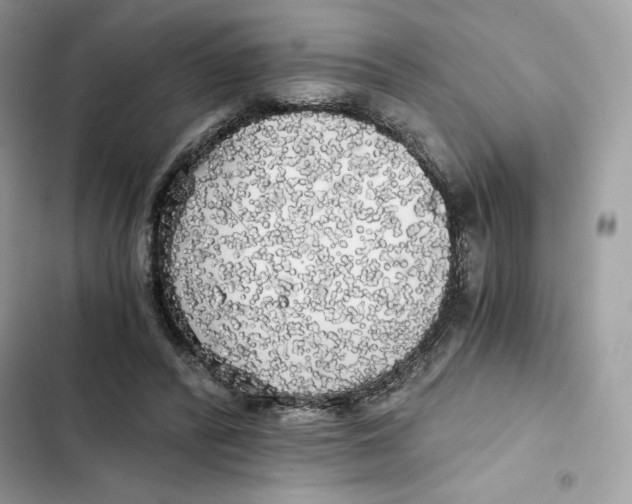 X0000101950400200808151257