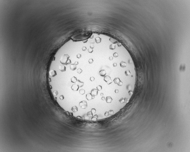 X0000101950401200808151257