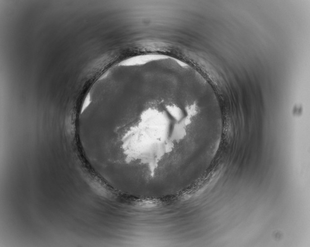 X0000101950402200808151257