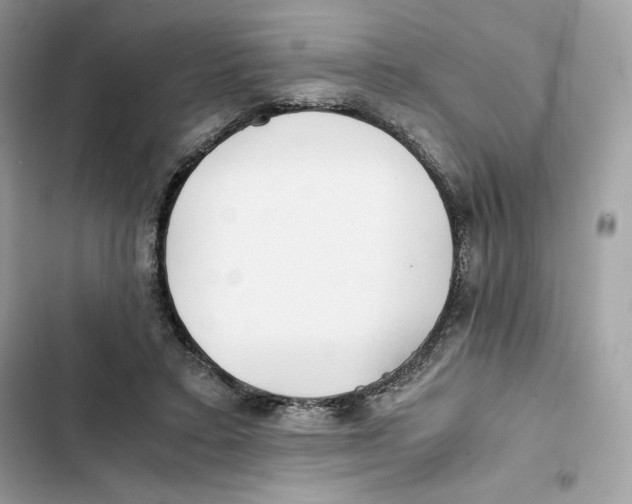 X0000101950403200808151257