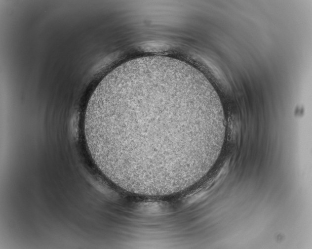 X0000101950404200808151257