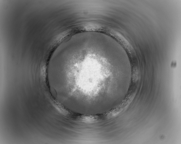 X0000101950405200808151257