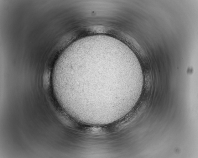 X0000101950406200808151257