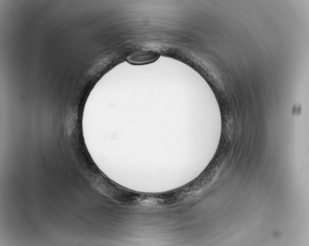 X0000101950407200808151257