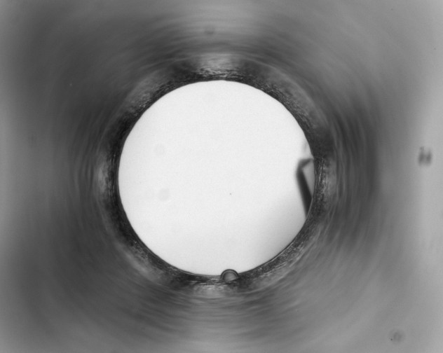 X0000101950408200808151257