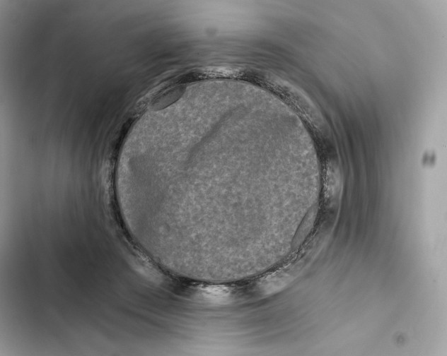 X0000101950409200808151257