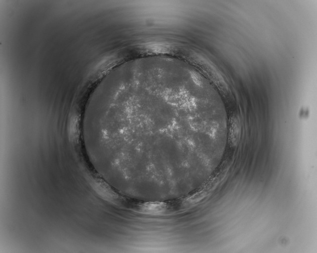 X0000101950410200808151257