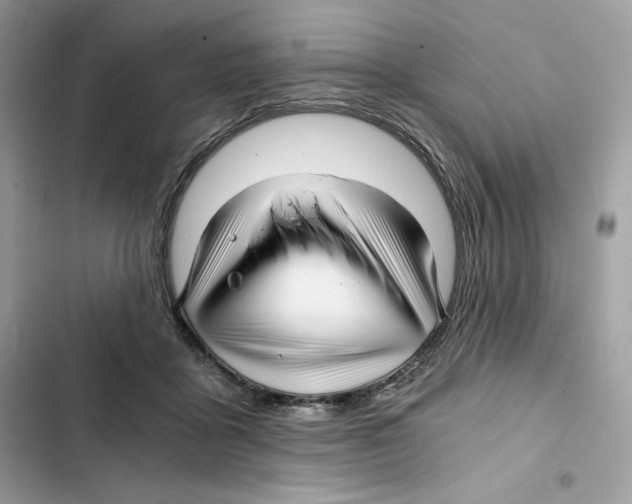 X0000101950411200808151257