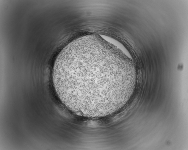X0000101950412200808151257