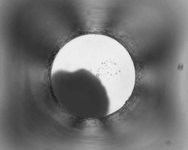 X0000101950415200808151257