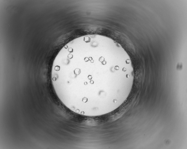 X0000101950416200808151257