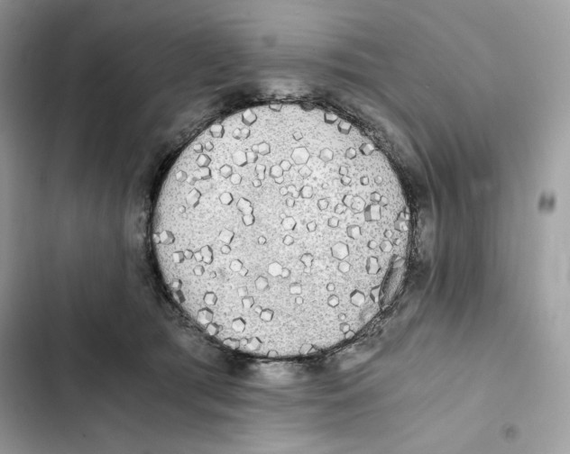 X0000101950417200808151257
