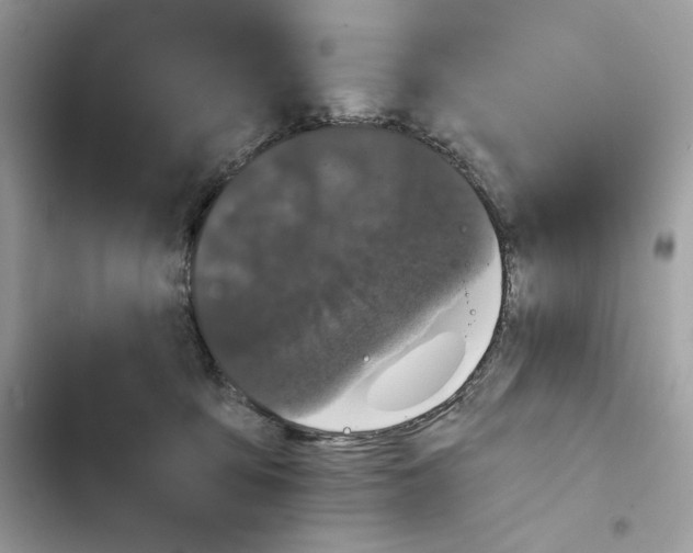 X0000101950419200808151257