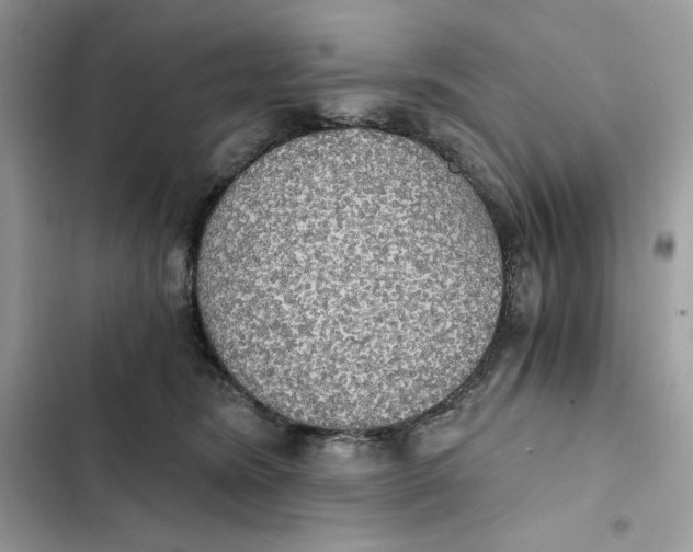 X0000101950420200808151257