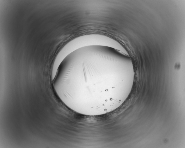 X0000101950423200808151257