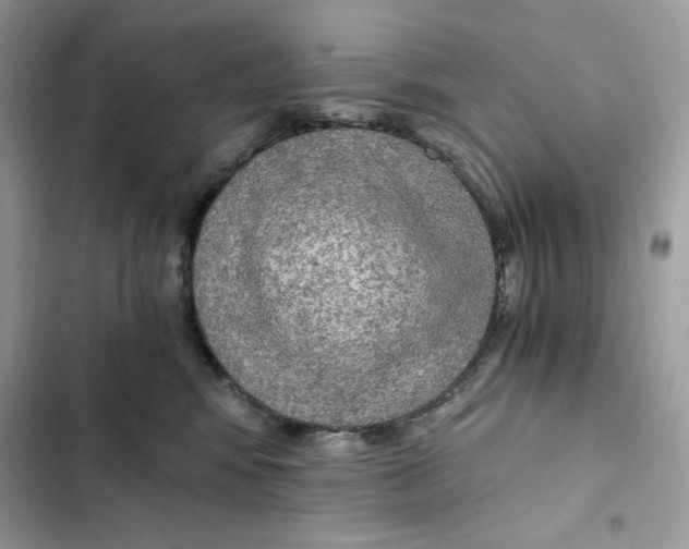 X0000101950424200808151257