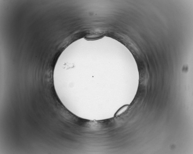 X0000101950425200808151257