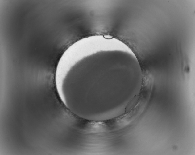 X0000101950427200808151257