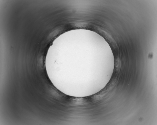 X0000101950428200808151257