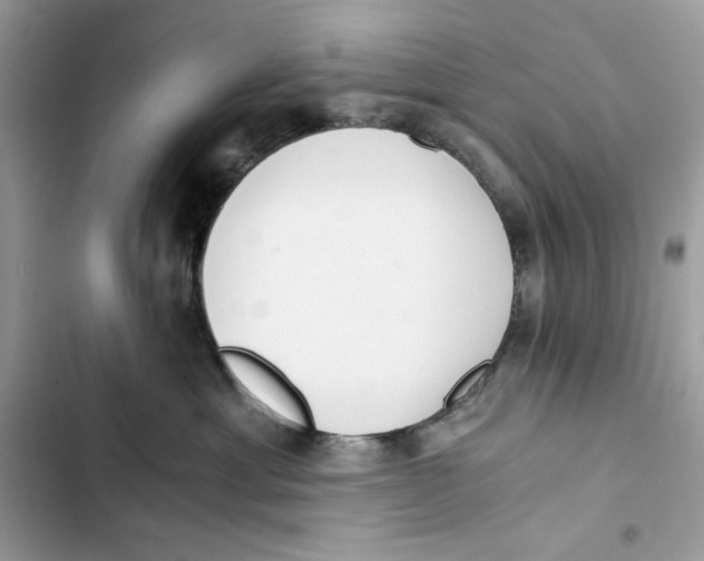 X0000101950429200808151257