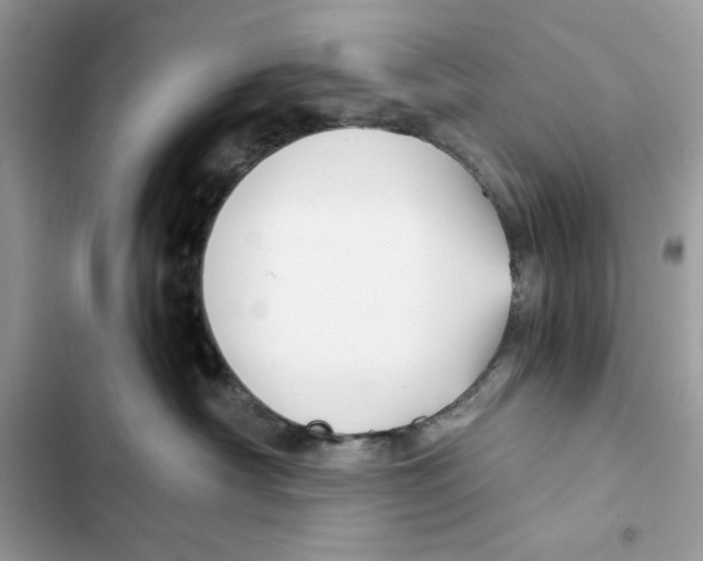 X0000101950430200808151257