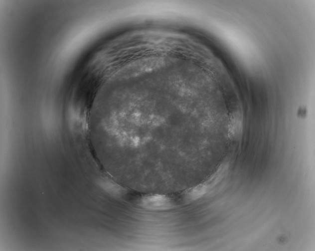 X0000101950431200808151257