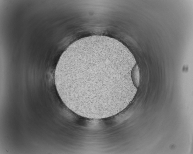 X0000101950432200808151257