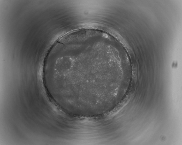 X0000101950434200808151256