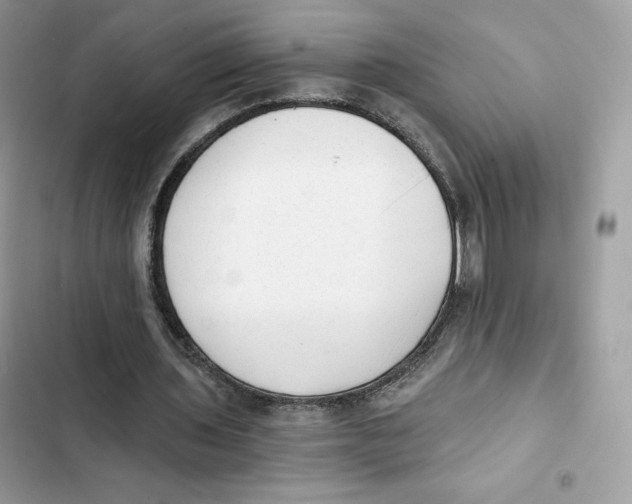X0000101950435200808151256