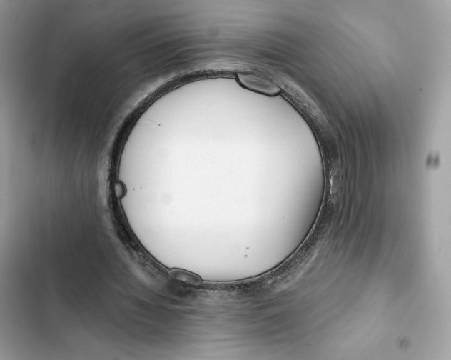 X0000101950436200808151256